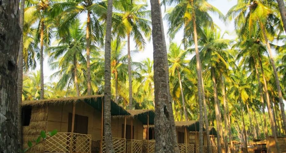 Coastal Jewel Of Goa, Goa 5